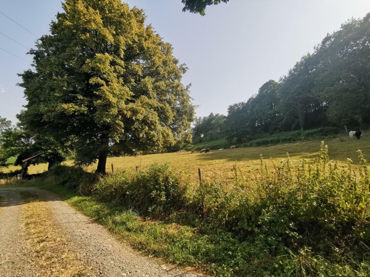 Domaine Lvd Avec Spa, Bois Et Riviere Privee La Bloutiere Luaran gambar