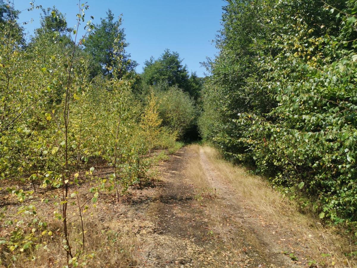 Domaine Lvd Avec Spa, Bois Et Riviere Privee La Bloutiere Luaran gambar