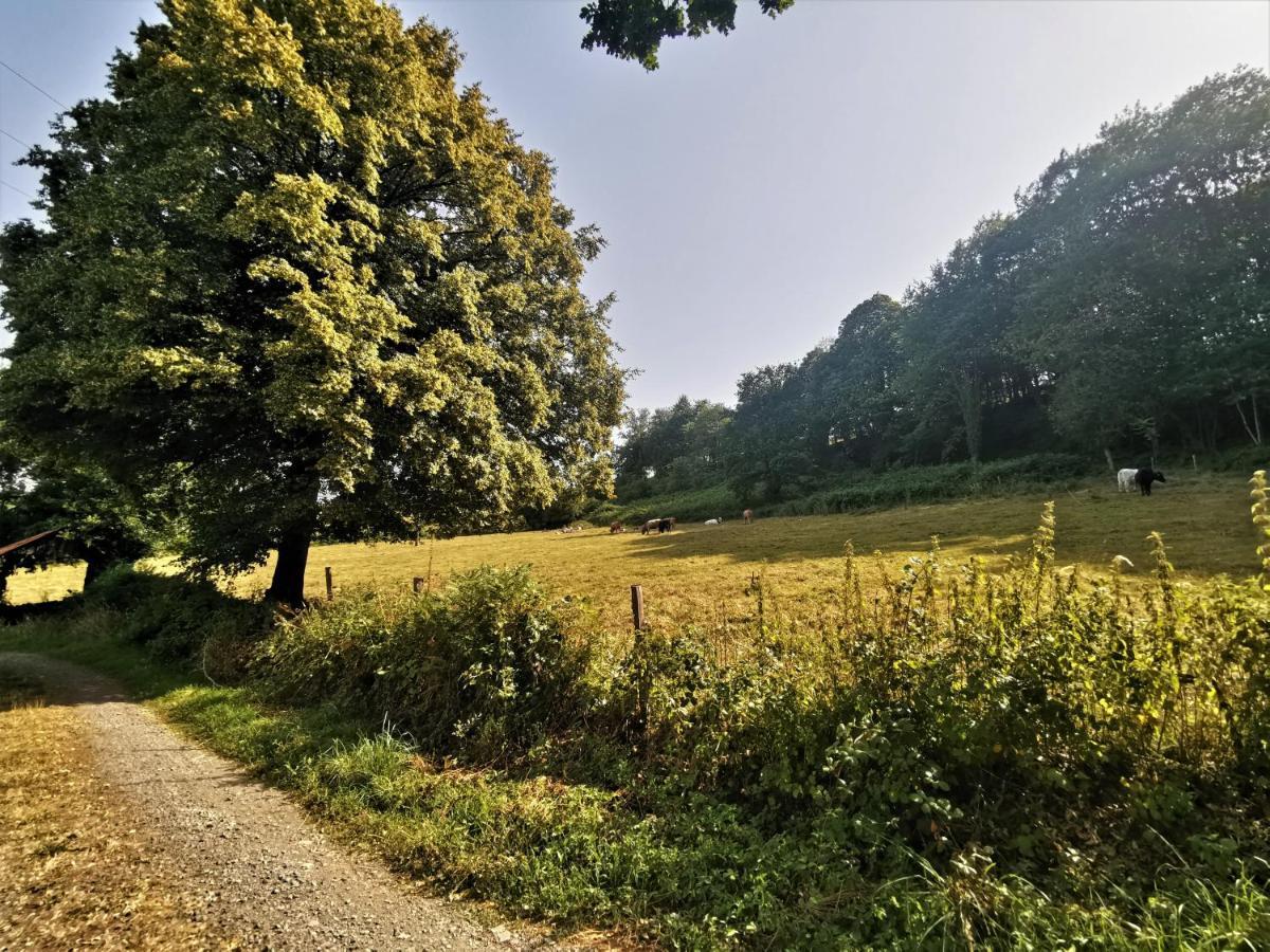 Domaine Lvd Avec Spa, Bois Et Riviere Privee La Bloutiere Luaran gambar